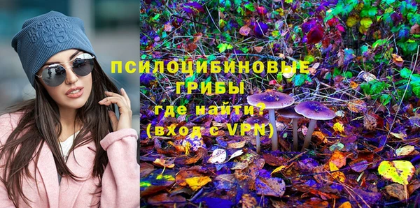 СК Абаза